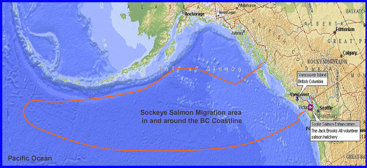 Pacific Salmon Migration Routes